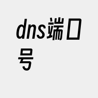 dns端口号