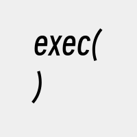 exec()