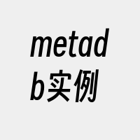 metadb实例