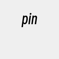 pin