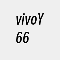 vivoY66